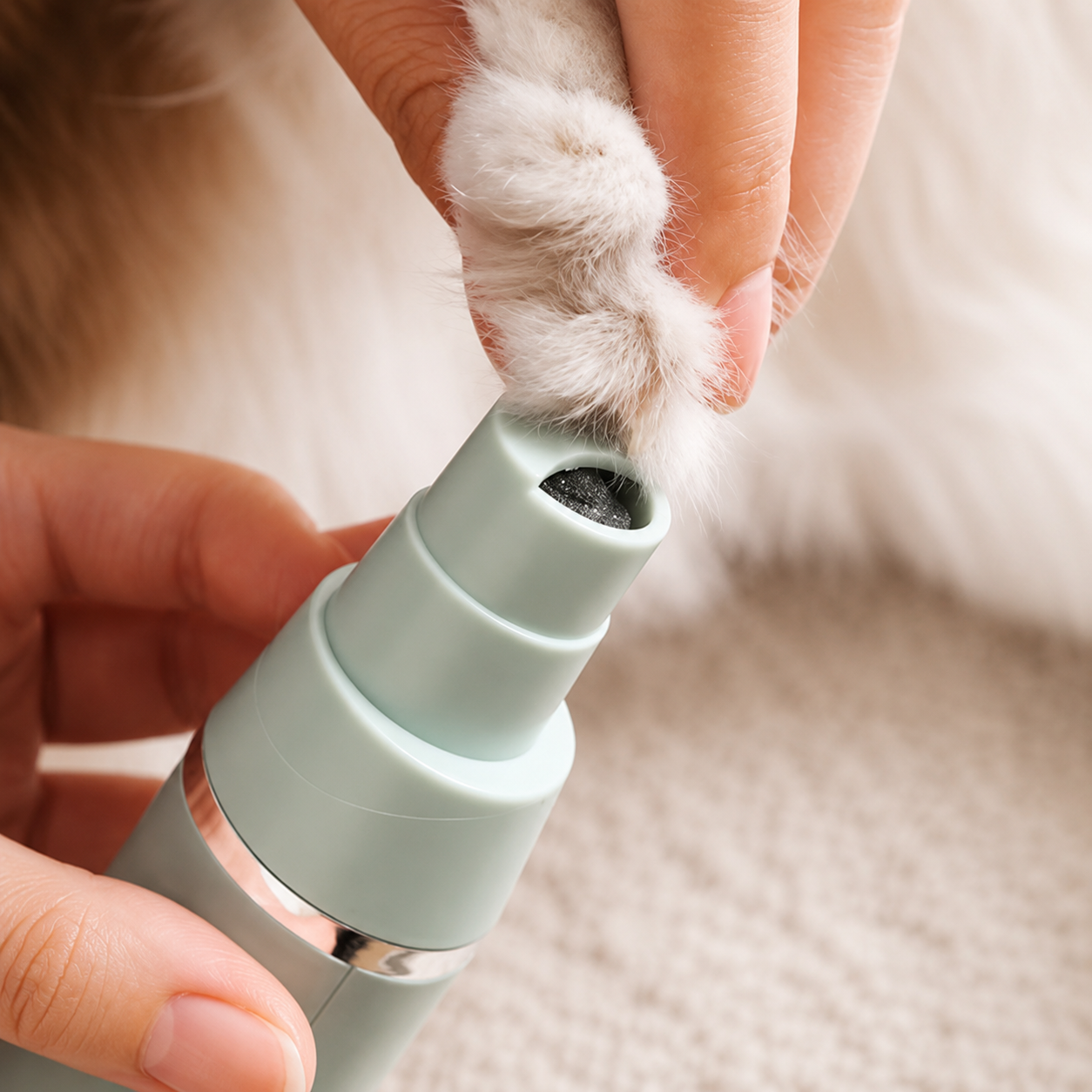 PawStudio Grooming Kit