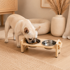 Elevated Comfort Pet Bowl Set
