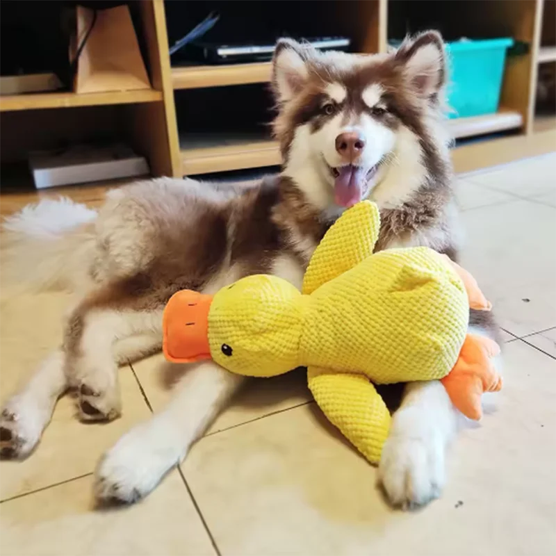 DuckyBuddy Plush Toy