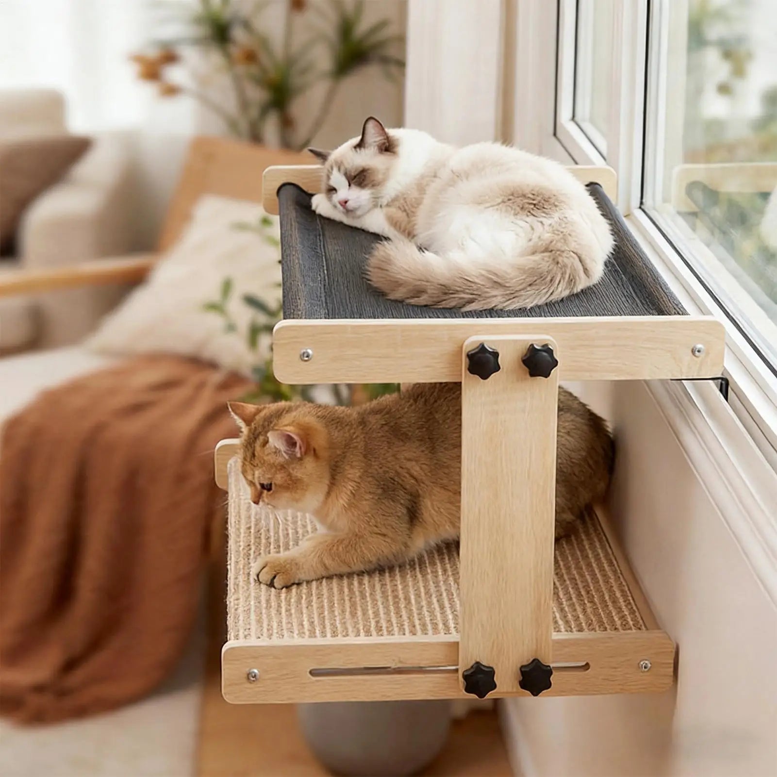 Window View Cat Perch