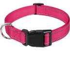 Reflective Adjustable Dog Collar
