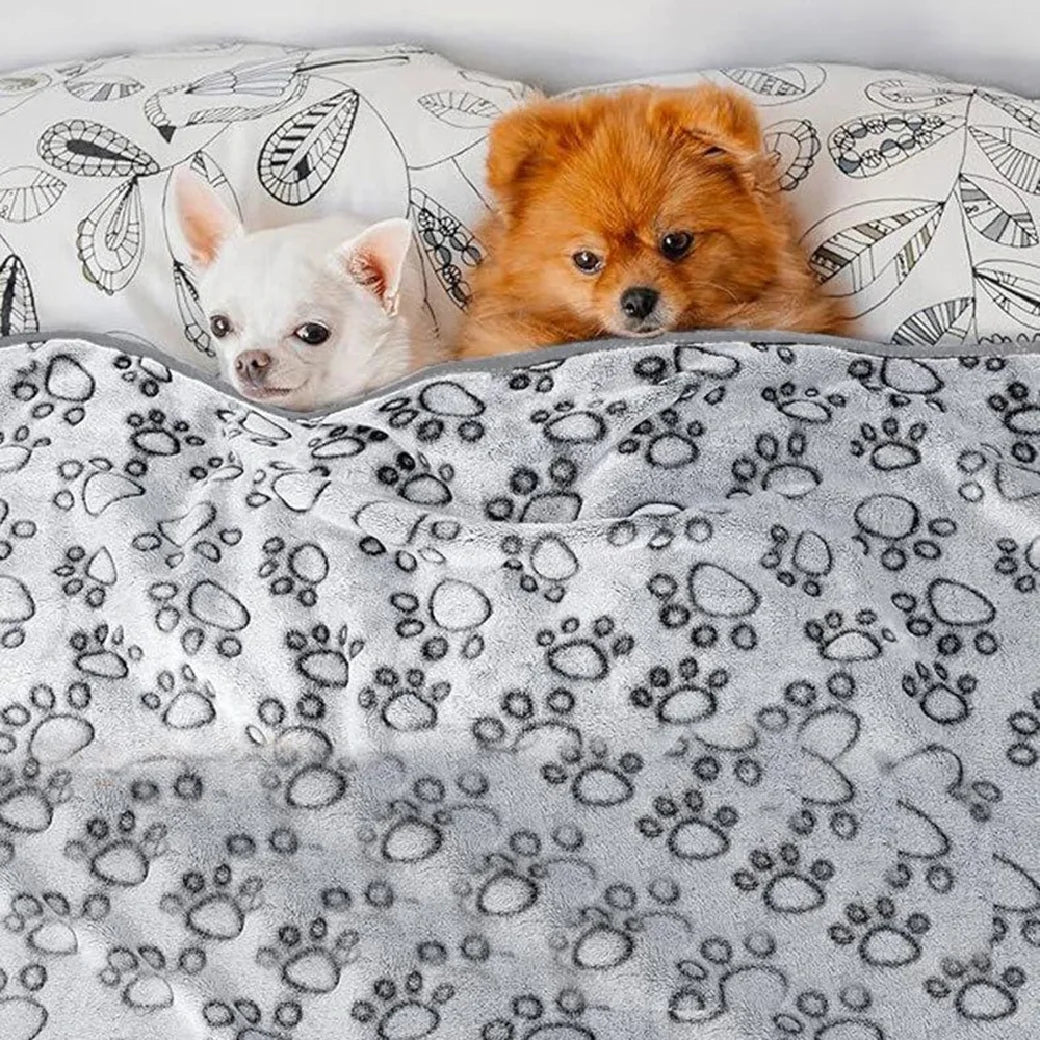 Soft Plush Pet Blanket