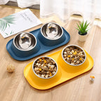 Elevated Double Pet Feeding Station