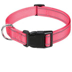 Reflective Adjustable Dog Collar