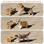 Elevated Comfort Pet Bowl Set