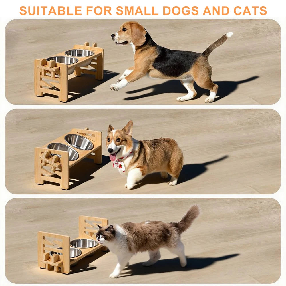 Elevated Comfort Pet Bowl Set