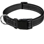 Reflective Adjustable Dog Collar