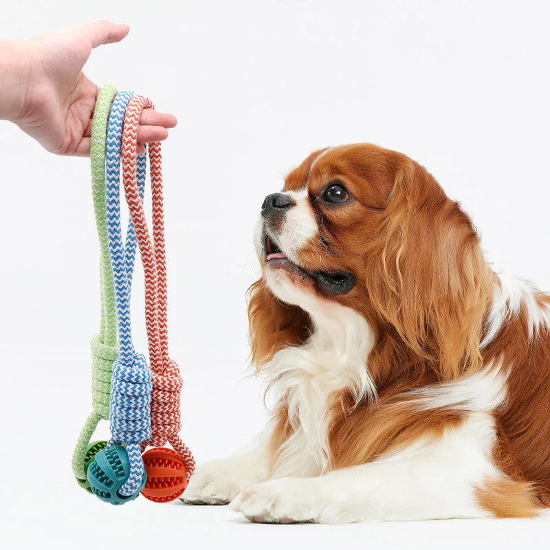 Rope Ball Dental Dog Toy