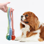 Rope Ball Dental Dog Toy