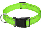 Reflective Adjustable Dog Collar