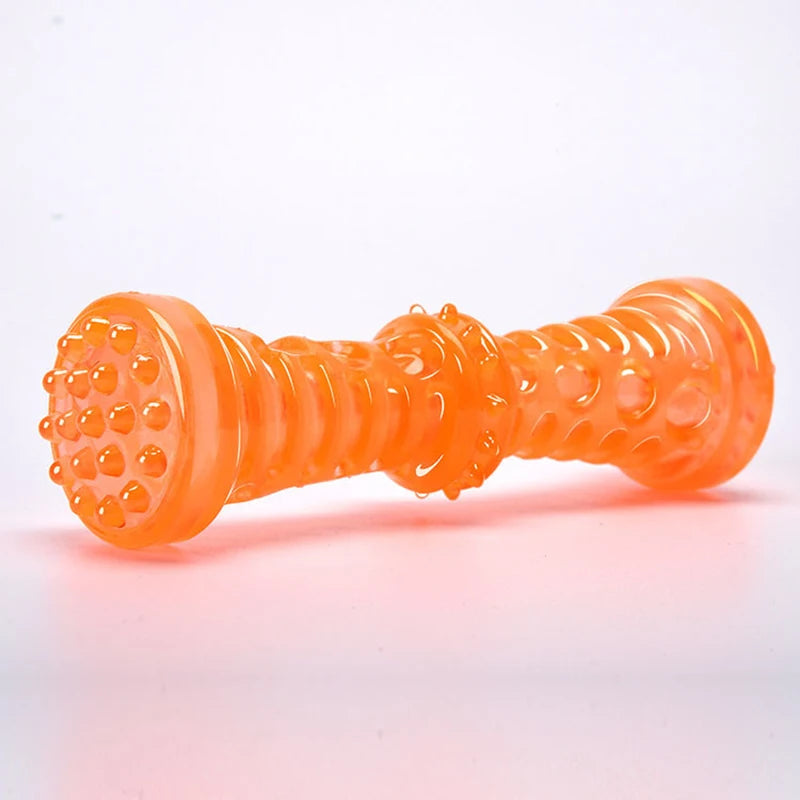 ChewBuddy Dental Bone