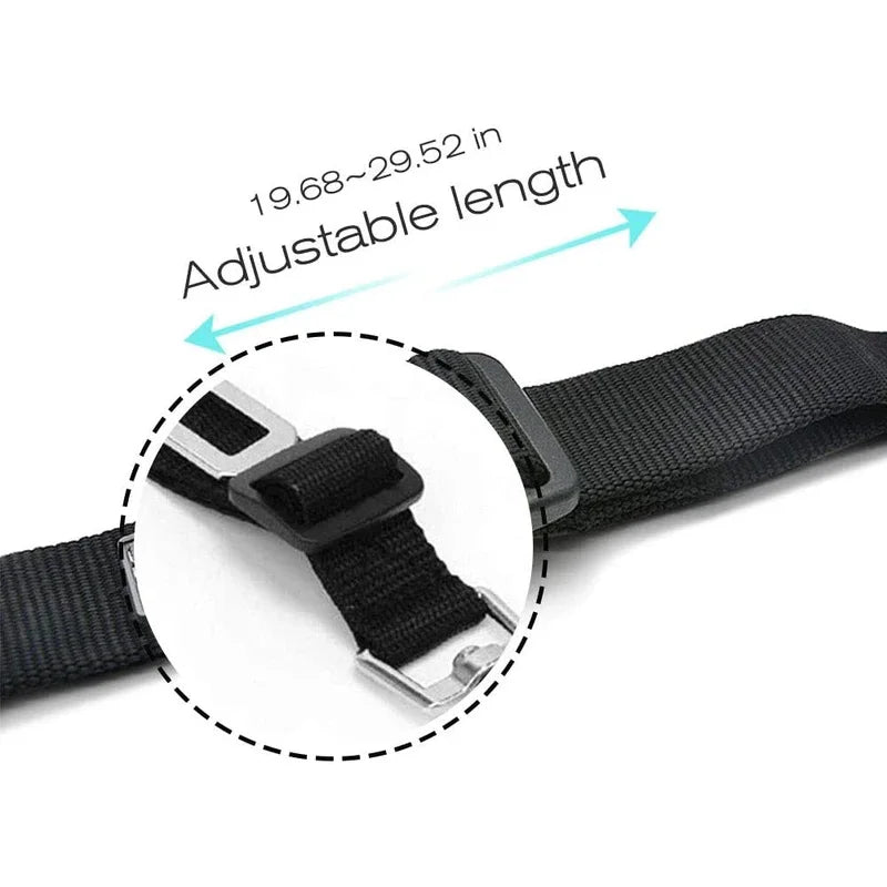 Pet Car Seat Belt