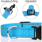 Reflective Adjustable Dog Collar