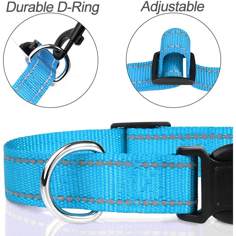 Reflective Adjustable Dog Collar
