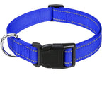 Reflective Adjustable Dog Collar