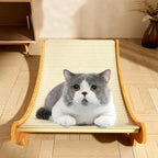 Cat Scratching Lounge