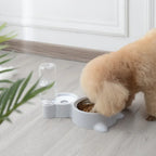 HydraPaw Feeding Station