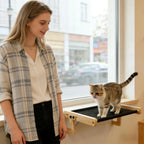 Window View Cat Perch